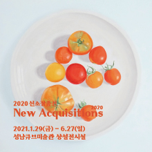 2020 신소장품전 2020 New Acquisitions 2021.1.29(금) - 6.27(일) 성남큐브미술관 상설전시실