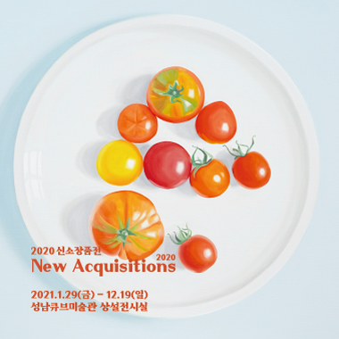 2020 신소장품전 2020 New Acquisitions 2021.1.29(금) - 12.19(일) 성남큐브미술관 상설전시실