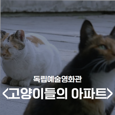 독립예술영화관 <고양이들의 아파트> 포스터